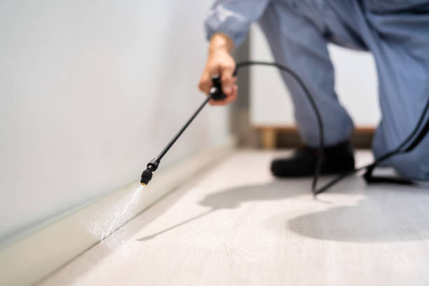 Bed Bug Pre-Treatment Preparation Assessment in Eagleview