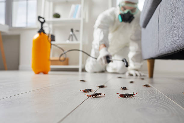 Post-Treatment Bed Bug Interceptor Monitoring in Eagleview