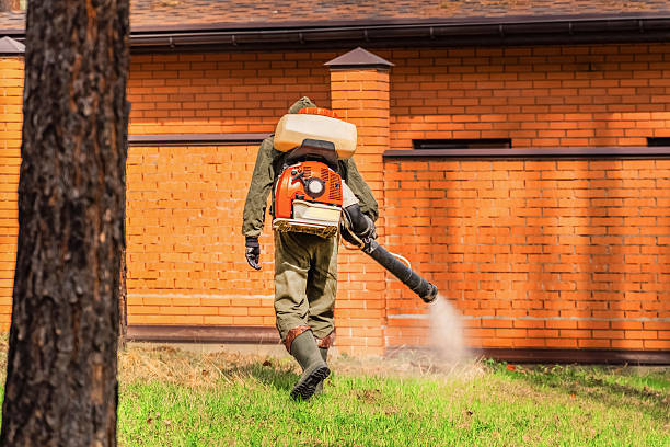 Bed Bug Clearance Verification and Documentation in Eagleview